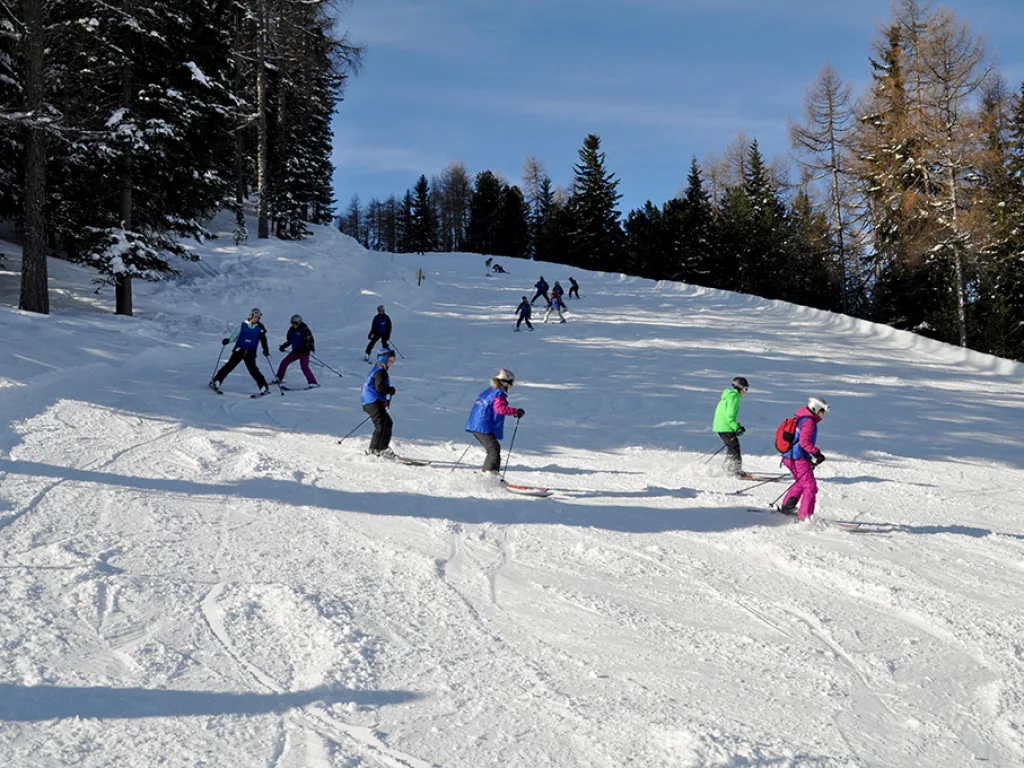 Skifahrende verteilt auf einem Hang zwischen Lärchen.